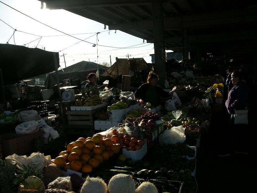Canino Farmers Market 2520 Airline  (34)